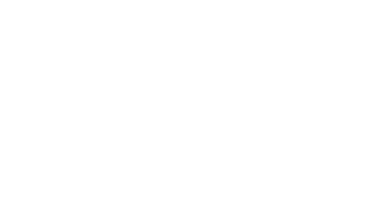 sinanux-logo-light